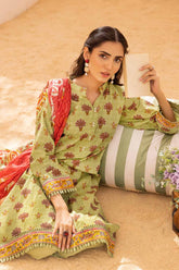 3 Piece Printed Lawn Unstitched Suit CL-32364 B