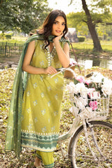 3 Piece Printed Lawn Unstitched Suit CL-32584 B