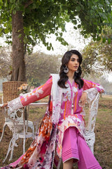 3 Piece Printed Embroidered Lawn Unstitched Suit CL-42027