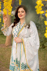 3 Piece Printed Lawn Unstitched Suit CL-42138 B