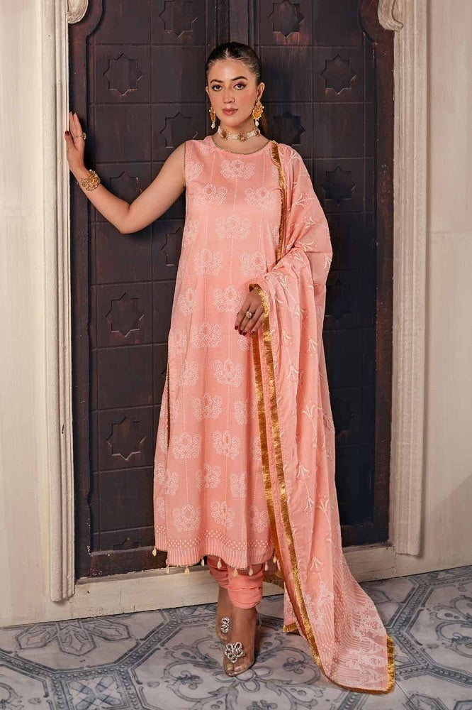 3 Piece Foam and Gold Printed Lawn Unstitched Suit CL-42168 B