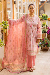 3 Piece Printed Lawn Unstitched Suit CL-42194 B