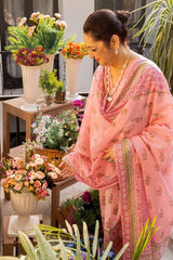 3 Piece Printed Lawn Unstitched Suit CL-42194 B