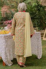 1 Piece Lawn Unstitched Printed Fabric SL-32039