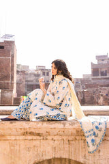 3 Piece Lawn Unstitched Printed Suit CL-32239 A