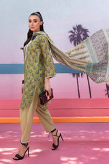 2 Piece Lawn Printed Unstitched Suit TL-32080 A
