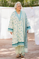 3 Piece Unstitched Printed Lawn Suit CL-42300 A