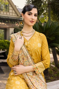 3 Piece Embroidered Cambric Unstitched Suit with Printed Burnout Dupatta BN-32006